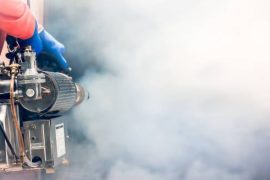 photo_2025-09-08_09-45-47